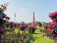 -季高兔窝窝亲子园(上海薰衣草公园店)