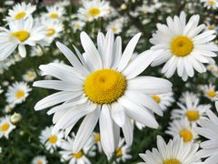 -云漫湖生态度假公园