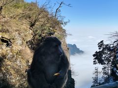 -峨眉山风景名胜区