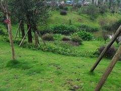 -枫香湖儿童公园