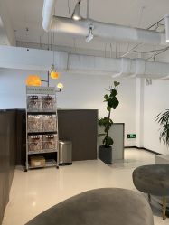 -I+造型烫发染发