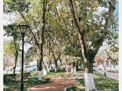 -四川大学(望江校区)