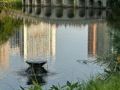 -四海公园(南山区)