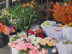 -桂林市花鸟市场