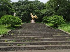 -海口火山口国家地质公园