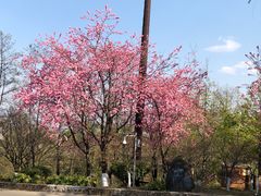 -天龙八部武侠城