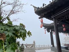 -梅园