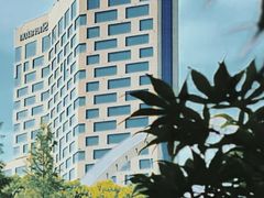 -陈家山荷花公园