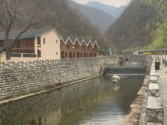 -牛背梁国家森林公园