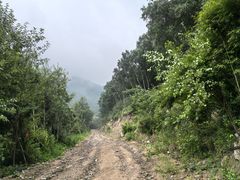 -灵山