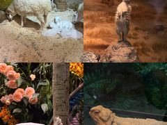 -正佳雨林生态植物园