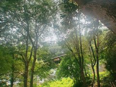 -南山风景名胜区