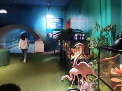 -石家庄海洋公园