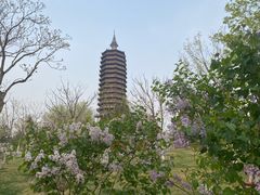 -西海子公园