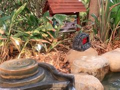 -厦门途易蓝罗约海景温泉酒店(园博苑地铁站店)