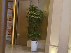 -同庆楼(滨湖万达广场店)