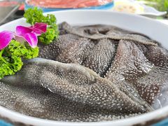 -凤来栖·净庭院·火锅(欧尚店)