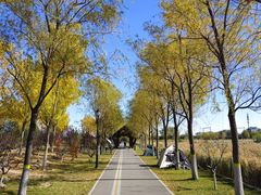 -永定河休闲森林公园