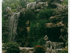 -上海鲜花港