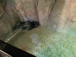 -酷嗒动物文化乐园(cutezoo西溪乐天城店)