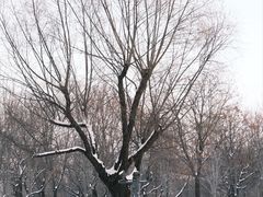 -长春净月潭风景名胜区