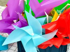 -万科城市广场(厚街店)