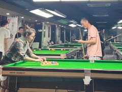 -新新潘晓婷台球俱乐部(周浦店)