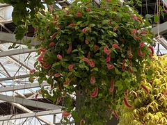 -常州花鸟园酒店(西太湖品牌优选店)