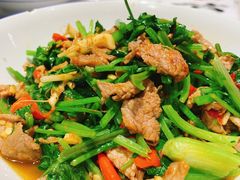 香菜炒牛肉-壹盏灯(蚂蚁工房店)