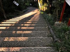 -杭州半山国家森林公园