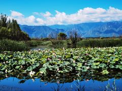 -野鸭湖国家湿地公园