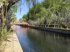 -元大都城垣遗址公园
