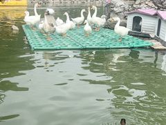 -团结湖公园