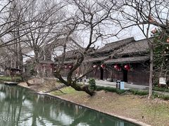 -西溪国家湿地公园