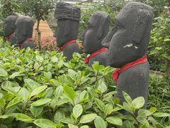 -南宫五洲植物乐园