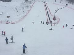 -太子岭滑雪场