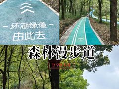 -重庆彩云湖湿地公园