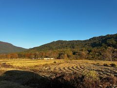 -塔川景区