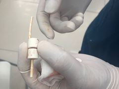 -纳吉亚猫专科动物诊疗中心(蒋宅口分院)