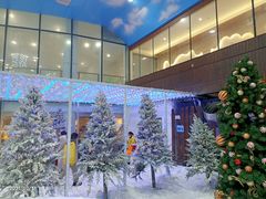 -世界之窗阿尔卑斯冰雪世界