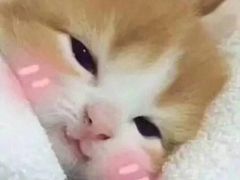 -肯德基(泉州东街店)