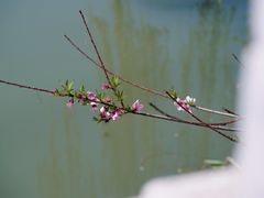 -九里河湿地公园