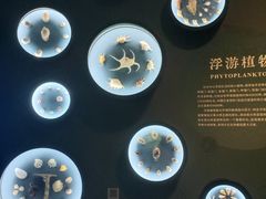 -中国湿地博物馆
