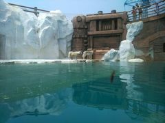 -秦皇岛乐岛海洋王国