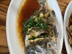 -金海湾海鲜排档(朱家尖店)