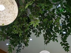 -红叶日料·放题·海胆·定食(星海店)