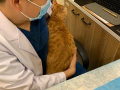 -萌兽医馆·犬猫专科·眼科中心·宠物医院(朝阳门分院)