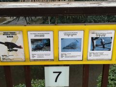 -九龙公园
