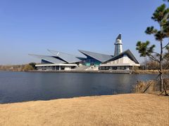 -盐城丹顶鹤湿地生态旅游区