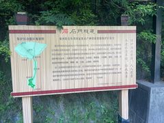 -汉中石门栈道风景区